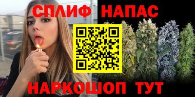 стафф Будённовск