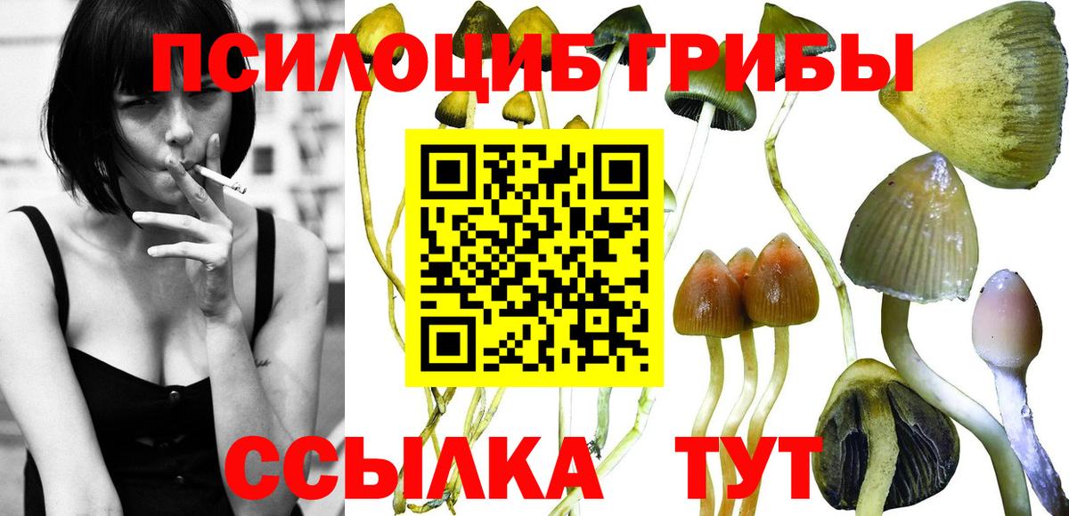 Галлюциногенные грибы прущие грибы Фрязино