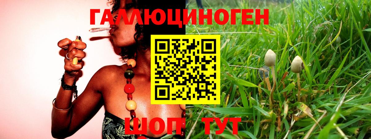 Псилоцибиновые грибы MAGIC MUSHROOMS  Вход с VPN  Галлюциногенные грибы GOLDEN TEACHER  Фрязино 