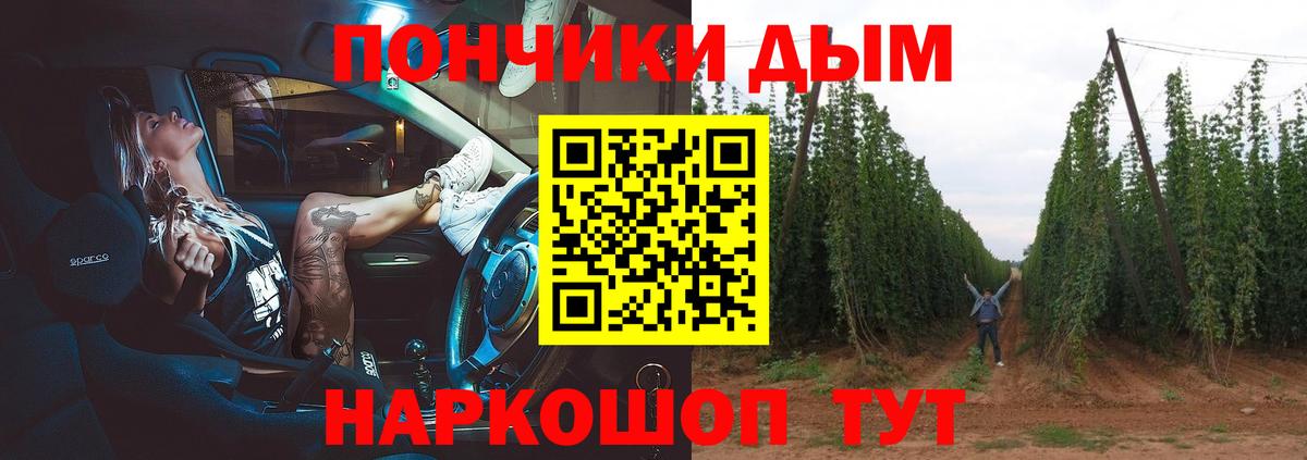Шишки марихуана SATIVA & INDICA  Вход с VPN  Фрязино  Конопля семена  Марихуана сатива 